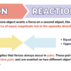 Newton's Third Law of Motion - Image 4